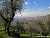 via_vicchio_e_paterno01
