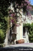 viale_colli3