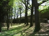 viale_colli6