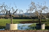 viale_pian_di_ripoli001