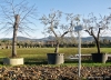 viale_pian_di_ripoli006
