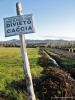 viale_pian_di_ripoli008
