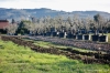 viale_pian_di_ripoli009