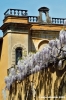 villa_bellavista4