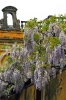 villa_bellevue3_040430