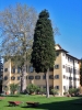 villa_la_massa04_040520