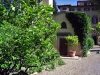 villa_la_massa2_040601