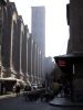 bologna12