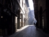 bologna18