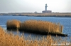 delta_po_gnocca05