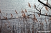 delta_po_gnocca20
