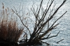delta_po_gnocca23