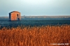 delta_po_gnocca28