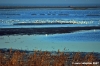 delta_po_gnocca29