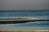 delta_po_gnocca32
