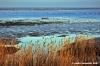 delta_po_gnocca46