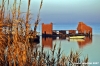 delta_po_gnocca68