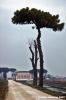 ravenna_lido_di_classe003