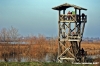 ravenna_marina_romea002