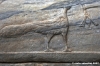 ravenna_san_vitale003