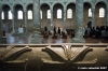 ravenna_sapollinare_in_classe014