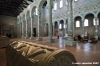 ravenna_sapollinare_in_classe015