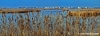 ravenna_valli_comacchio002