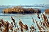 ravenna_valli_comacchio003