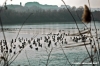 ravenna_valli_comacchio006