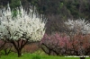 sasso_marconi05