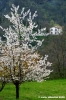 sasso_marconi06