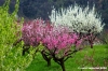 sasso_marconi09