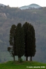 sasso_marconi14