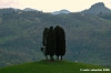 sasso_marconi16