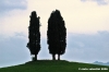 sasso_marconi21