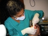 karlo_dentista14