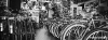 bici_lucca356_116