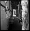 mattatoio11_411