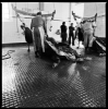 mattatoio12_206
