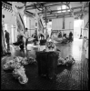 mattatoio12_307