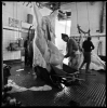 mattatoio12_308