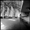 mattatoio12_309