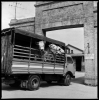 mattatoio13_106