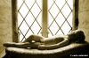 siena048_314