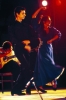 flamenco859_17