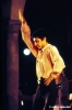 flamenco859_39