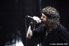 zucchero102