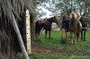santa_barbara149