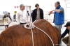 cantiere_bagnoli005