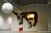 cucchi_asino05